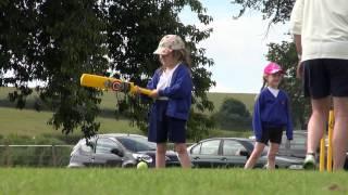 Belvoir Castle Cricket Trust