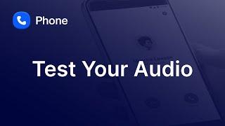 Test Your Audio Settings