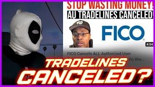 Fico Cancels Authorized User Tradelines! Credit Plug Video Review