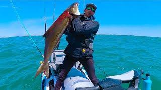 COBIA Fishing CAST to CATCH!  |  Sea-Doo