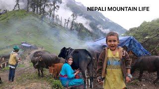 Discovering the Unspoiled Beauty of Rural Nepali Mountain Village Barekot || IamSuman