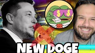 Elon Musk Is Making Pepe The Doge Of This Bull Cycle And Wall Street Pepe Could See The Best Gains!