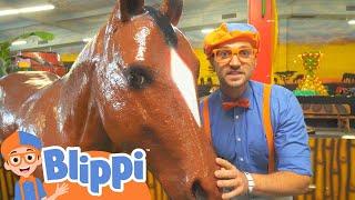 Blippi Explores Jungle Animals! | Educational Videos for Kids | Blippi and Meekah Kids TV