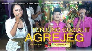 Tunjung Agrejeg/New Bina Budaya/Hajatan H.Suratin Satroyan,Wasis/Kds.H.Sari Rosi