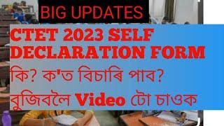 @Self Declaration form for CTET2023