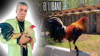 Entrevista a don Víctor Tame - El Libano (Segunda Parte)