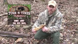 FOH Public Hunt for Wild Boar with Tusk & Tines Outfitters of Ohio