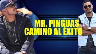 MR. PINGUAS - Camino al éxito