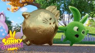 GOLDEN EASTER CHOCOLATE EGGS - SUNNY BUNNIES | Season 5 Compilation | Cartoons for Kids