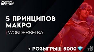 МАКРО в МЛ: 5 принципов от Белки для ВСЕХ рангов