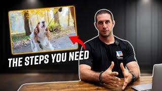 How to Train Your Reactive Dog