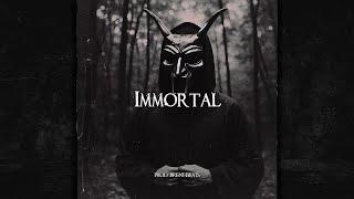 [FREE] Warlord Colossus x Ghostemane Type Beat "Immortal" | Dark Trap Type Beat