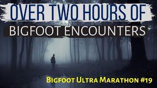 Bigfoot ULTRA MARATHON #19 - Over TWO HOURS of True Bigfoot Encounters!