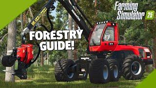 FORESTRY GUIDE | Testing Every Machine and Tool! | Farming Simulator 25