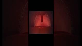 INSIDE THORAT | ESOPHAGUS | VOCAL CORDS #3danimation #humanbody #esophagus #vocals #food #trachea