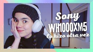 SONY LO HIZO OTRA VEZ Review de los WH1000XM5