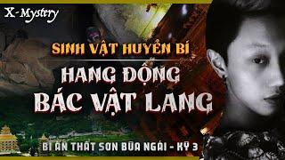 [X-m]: kỳ 3 || SINH VẬT HUYỀN BÍ & HANG ĐỘNG BÁC VẬT LANG || THẤT SƠN TÂM LINH