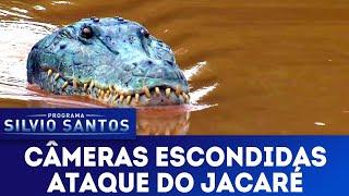 Ataque do Jacaré - Crocodile Attack Prank | Câmeras Escondidas (24/03/19)