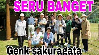 MAIN GOLF BARENG PARA SEPUH JEPANG !!GOKIL &SERUUU ...