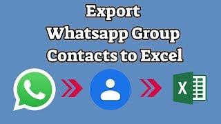 how to extract whatsapp group contacts to excel