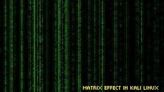 Matrix effect in Kali linux |matrix terminal| matrix cool animation