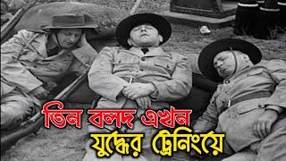 Three stooges Bangla dubbing _ Three stooges funny video _ তিন বলদ এখন যুদ্ধের ট্রেনিংয়ে