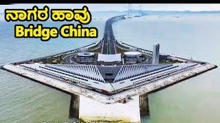 Shenzhong Link Worlds greatest bridge | China | Kannada Vlogs