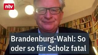 So oder so für Scholz fatal - Von Lucke: Bei Landtagswahl steht SPD vor Paradox | ntv