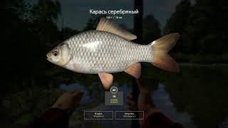 Russian Fishing 4 учусь играть