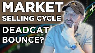 Stock Market Selling Spin Cycle. Are We In For A Dead Cat Bounce Or Are We Headed Lower? | PS60