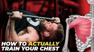 ALL ABOUT THE PECS | ft. DR. JORDAN SHALLOW