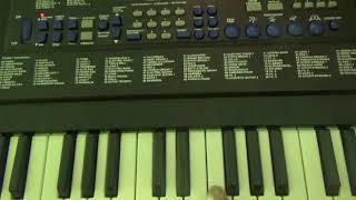 Techno-Beat Electronic Keyboard (attic find)