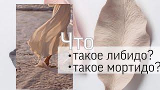 Что такое либидо? Что такое мортидо?