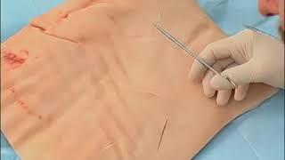 Suture Basic Techniques DNB ENT OSCE Skill Station - DnbMentors