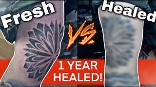 Dotwork Mandala Tattoo Healing Process - Fresh to a Year Healed