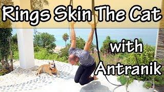 Still Rings Basics: Skin the Cat & German Hang with Antranik