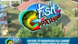 FISH PARK