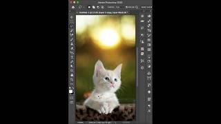 Perfect edges refign on photoshop #tips #tricks #tutorials #photoshop #shortsvideo #shorts