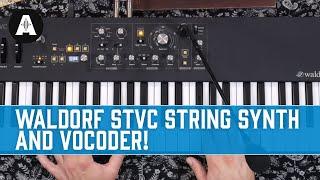 Waldorf STVC String Synth and Vocoder!