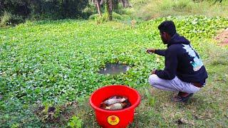 Best Hook Fishing 2024  || Traditional Boy Hunting Big Fish From Beautiful Nature || Best hook trap