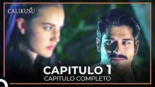 Calikusu Capitulo 1