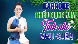 Karaoke Song Ca | TÌNH NHỎ MAU QUÊN - Thiếu Giọng Nam | Song Ca Với Lê Liễu