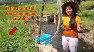 Pemancing mana yang tidak iri melihat ini !! Di tempat ini cuma pake tangan kosong auto dapat ikan