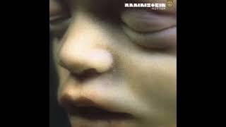 Rammstein - Mutter (instrumental)