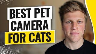 Best Pet Camera For Cats (2024)