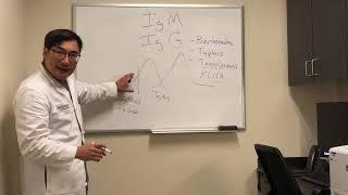 Immunoglobulin (IgG and IgM) interpretation of serological tests