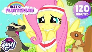 Best of Fluttershy ️ | My Little Pony: Friendship is Magic | BEST Episodes | 2 Hours | MLP