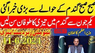 gandam rate today/wheat price today in punjab/2024 گندم کا ریٹ/ Makki ka rate today punjab