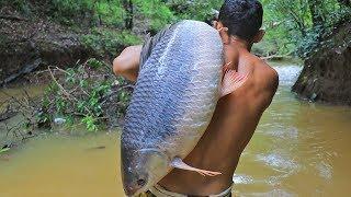 Amazing! Cooking Biggest Fish 26.5kg in Forest Eat to Survival