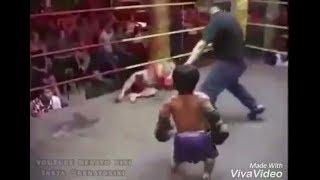 dwarf vs  midget best kickboxing k1 fight ko knock out